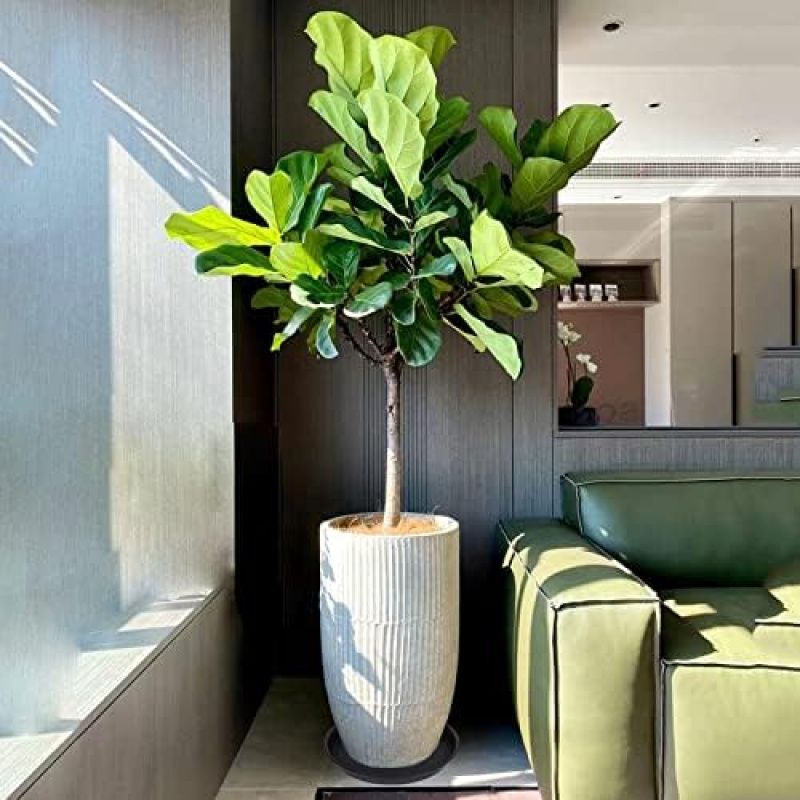 4Pcs Heavy Duty Plastic Plant  - Drip Tray Saucer ulasan dan harga