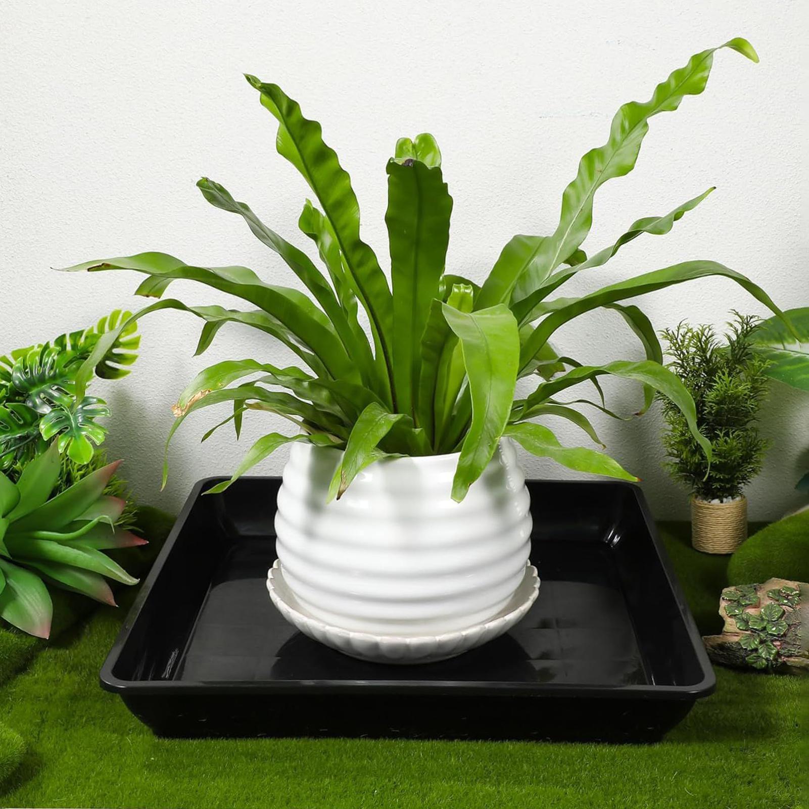 2 Pcs Flower Pot Base Thickene - Drip Tray Saucer ulasan dan harga